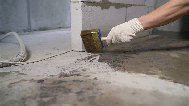 24/7 Emergency Crawl Space Encapsulation experts in Rockford, TN